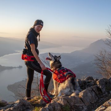 Longe de traction CONFORT TREK 235 / 285 cm Rouge