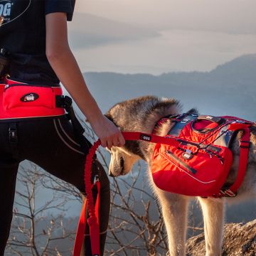 Sacoches CONFORT TREK