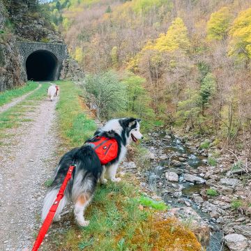 Sacoches CONFORT TREK