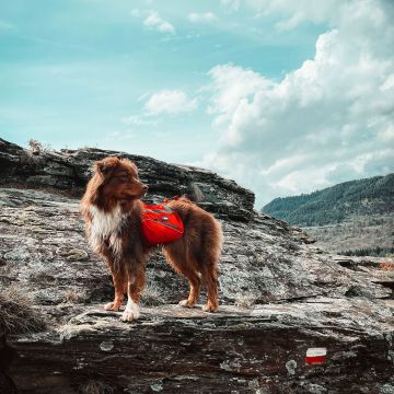 Sacoches CONFORT TREK