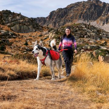 Sacoches CONFORT TREK