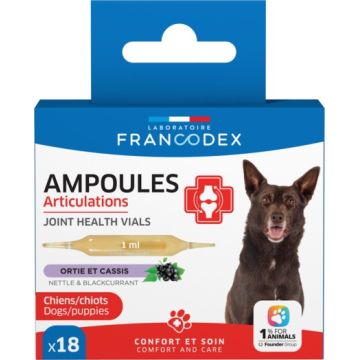 Ampoules Articulations x18