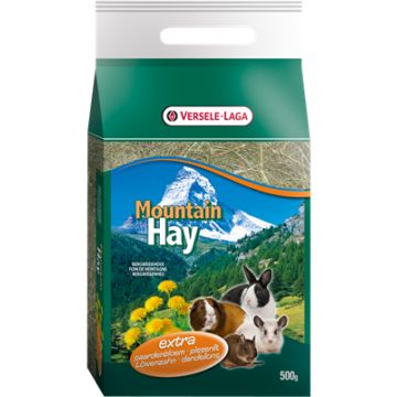 Foin Mountain Hay - Pissenlit