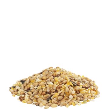 Country's Best Gra-mix mélange Poules d'Ardennes