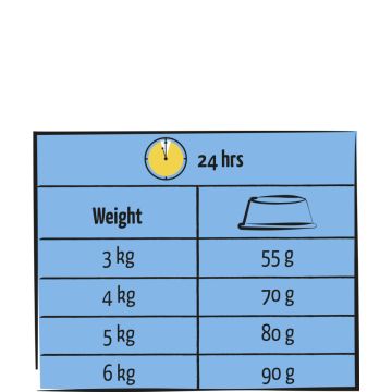 Lara Cat Adult fish saumon