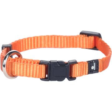 Collier Ziggi XS 15 x 25 cm - 10 mm orange