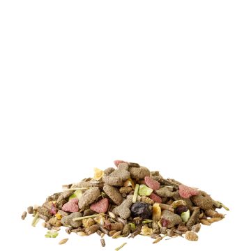 Crispy muesli Guinea pigs (Cobayes)