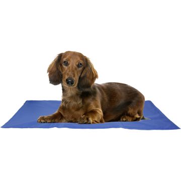 Tapis rafraîchissant Frosty Rectangle Bleu