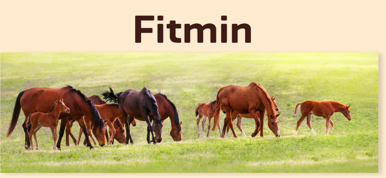Aliments et compléments Fitmin pour les chevaux