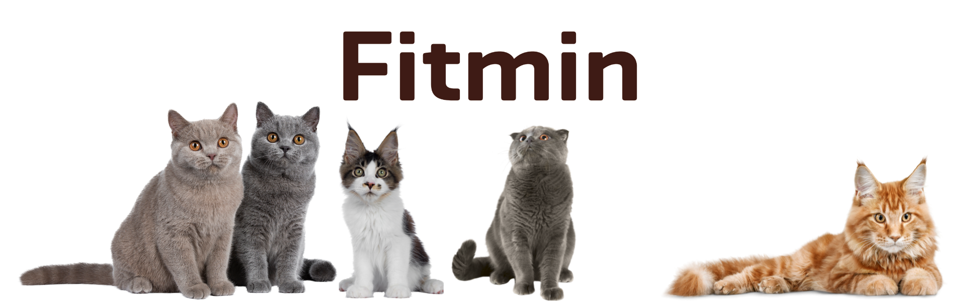 Croquettes pour chats toutes races Fitmin