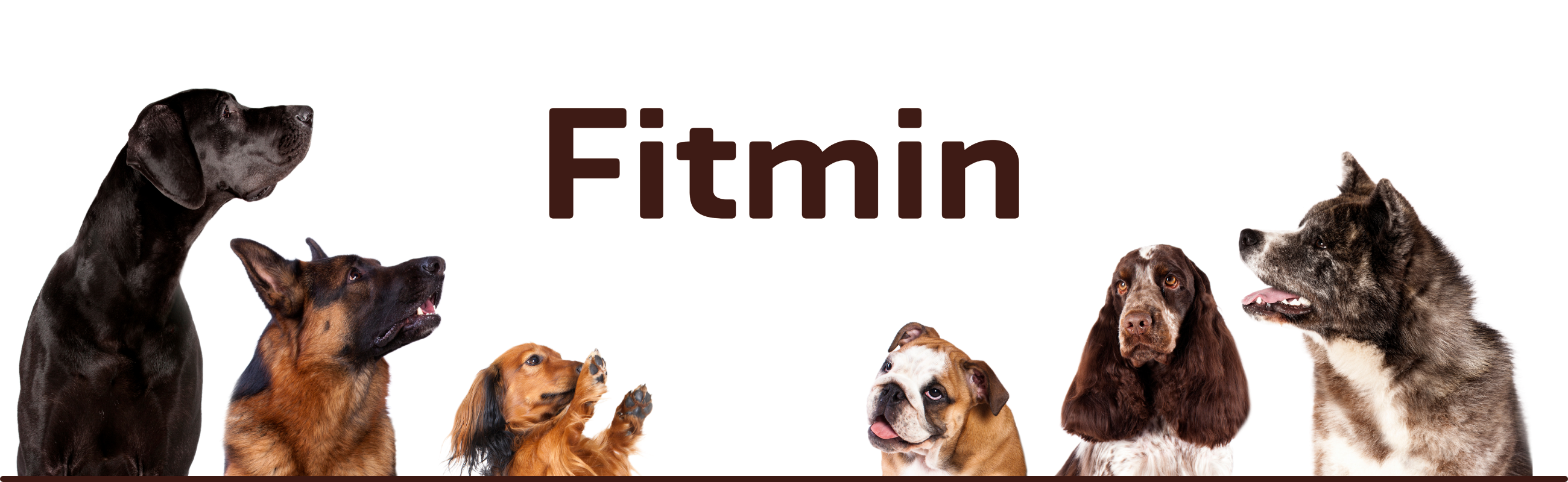 Croquettes pour chiens de toutes races Fitmin
