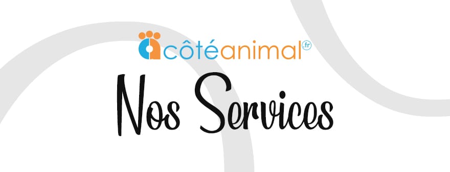 Illustration pour nos services